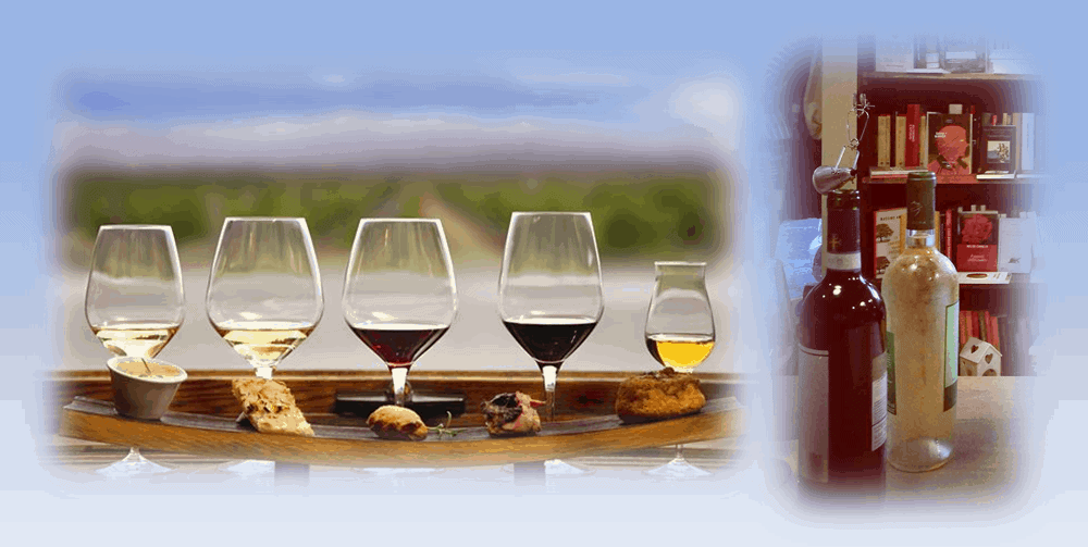 L’abbinamento fra Cibo e Vino – corso e degustazione