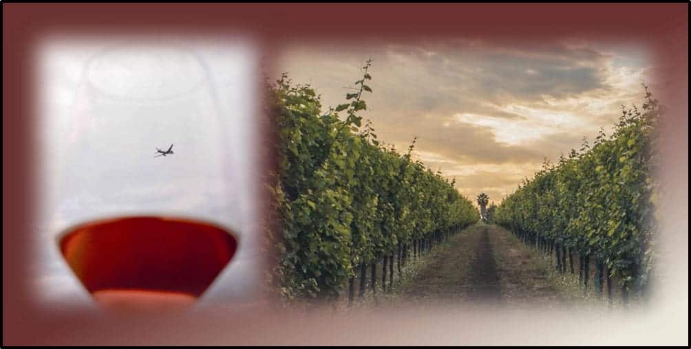 Il Mondo del Vino – Corso di avvicinamento al vino Internazionale