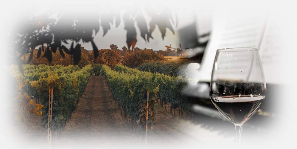 “L’Italia del Vino” – Corso di avvicinamento al vino italiano