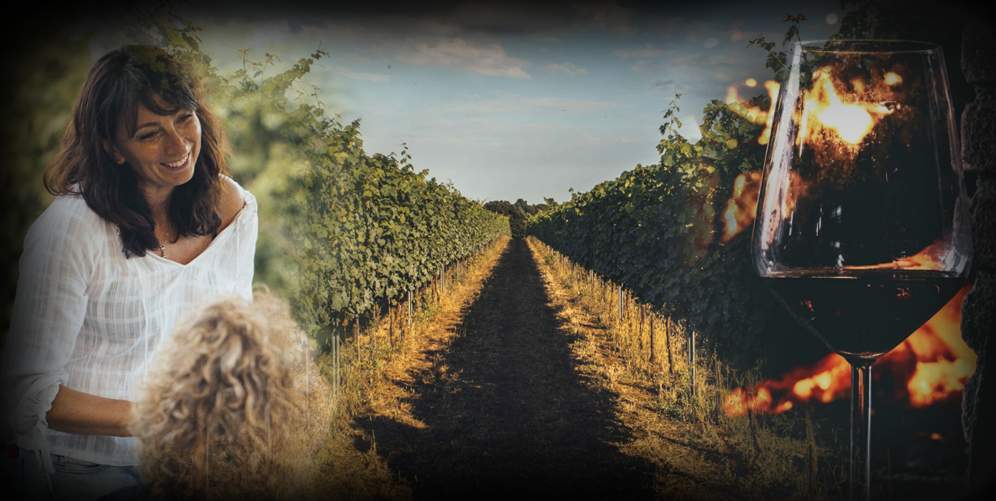 “La vigna e il camino” Degustazione e pranzo davanti al camino