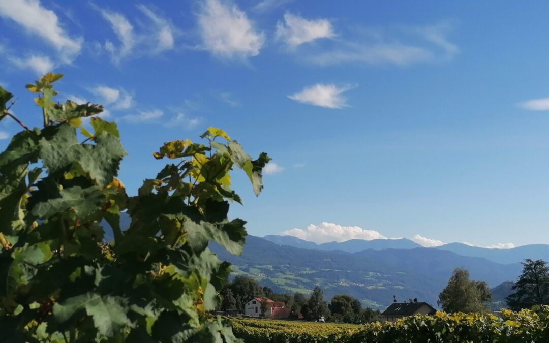 Corso sul vino italiano “L’Italia, dagli Appenini alle Alpi”