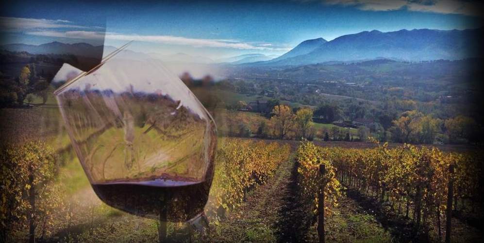 Corso sul vino italiano “L’Italia, dal mare alle colline”