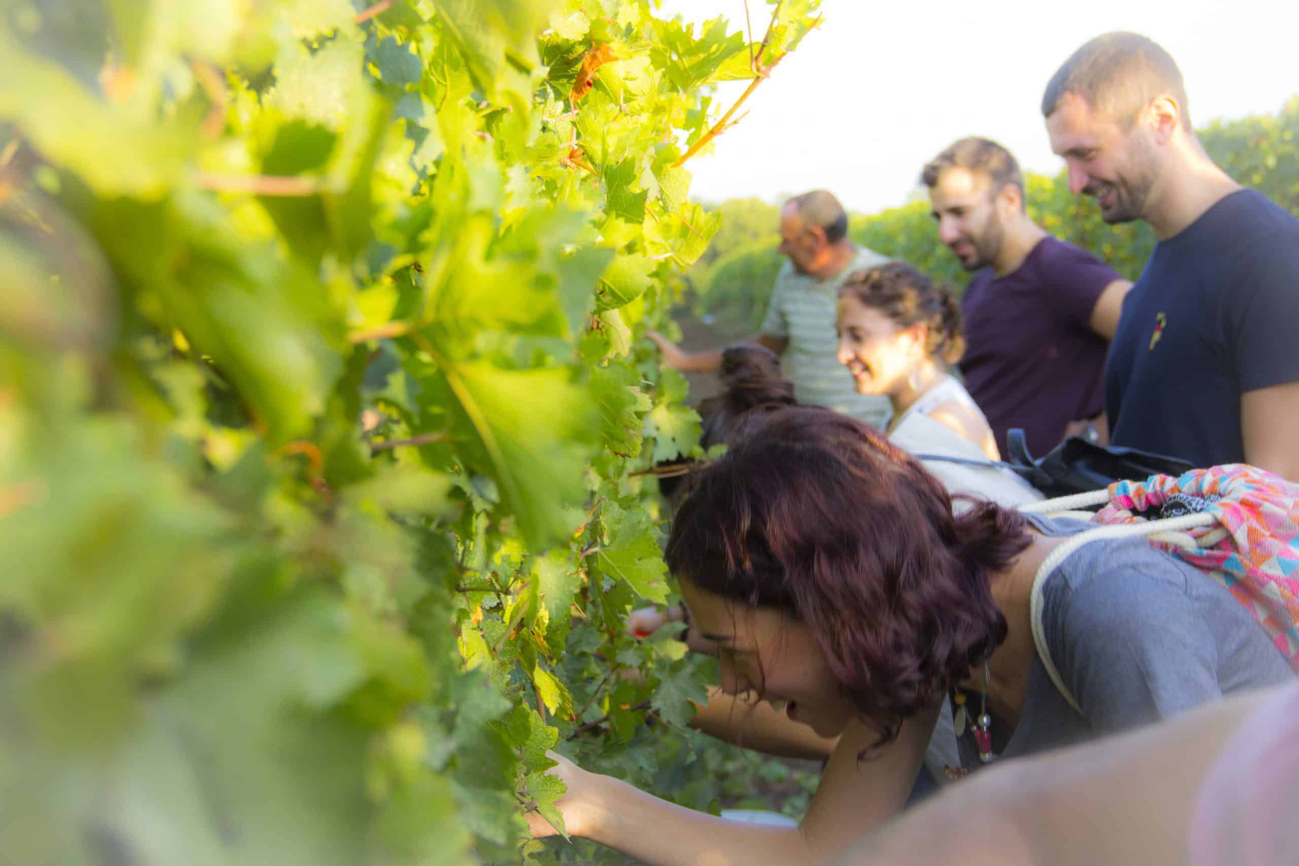 Attività Team Building e Formazione Aziendale a Roma