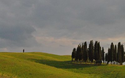 Corso di avvicinamento al vino italiano