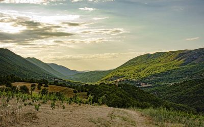 Corso sul vino italiano