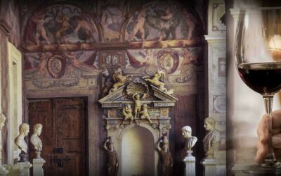 Tour e degustazione